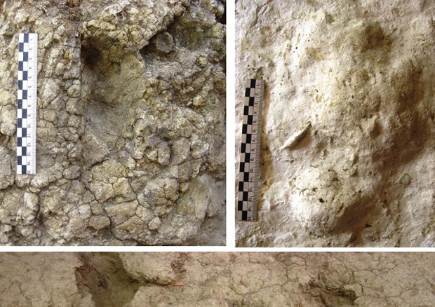 Al momento stai visualizzando Le più antiche impronte di un bambino hanno 1,2 milioni di anni