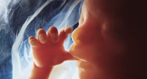 Scopri di più sull'articolo Trovate per la prima volta microplastiche nella placenta umana