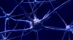 Scopri di più sull'articolo Nuovi farmaci per la riparazione della mielina danneggiata da sclerosi multipla