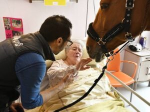 Scopri di più sull'articolo Pet therapy: il cavallo che visita i malati in ospedale